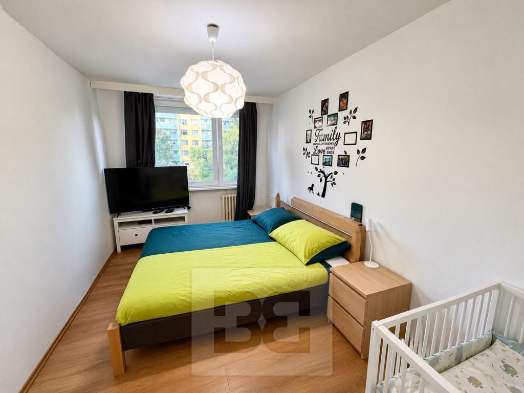 2+kk Apartment in Praha - View 5