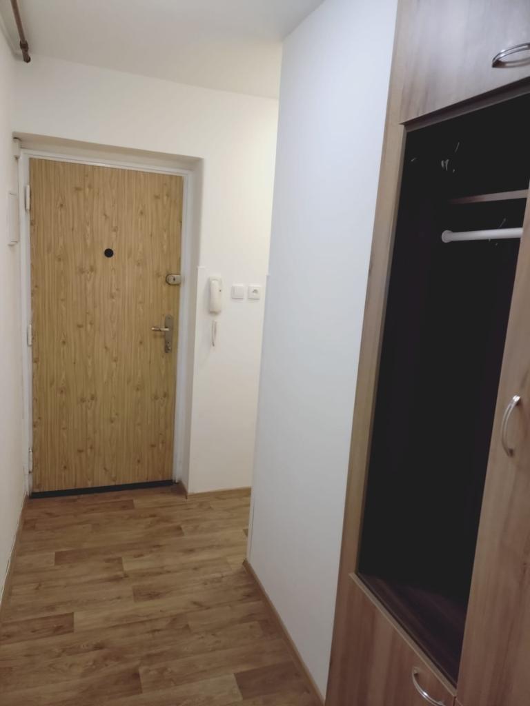 Pronájem bytu 1+1 35 m2