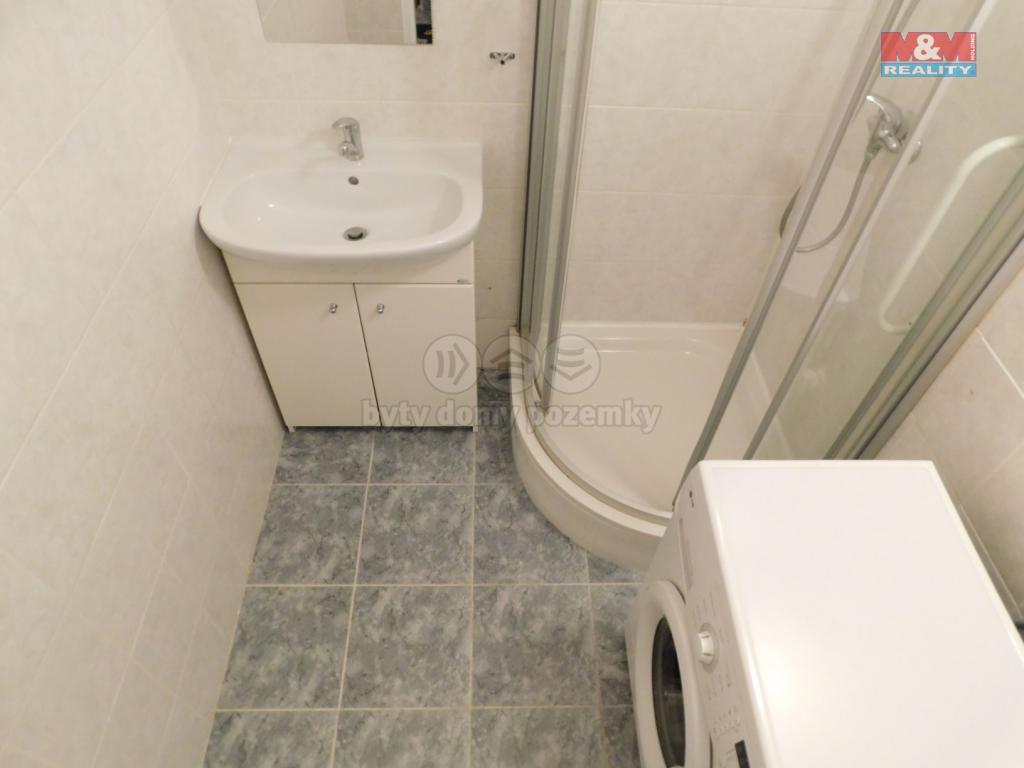 Pronajem bytu 1+1 42 m2