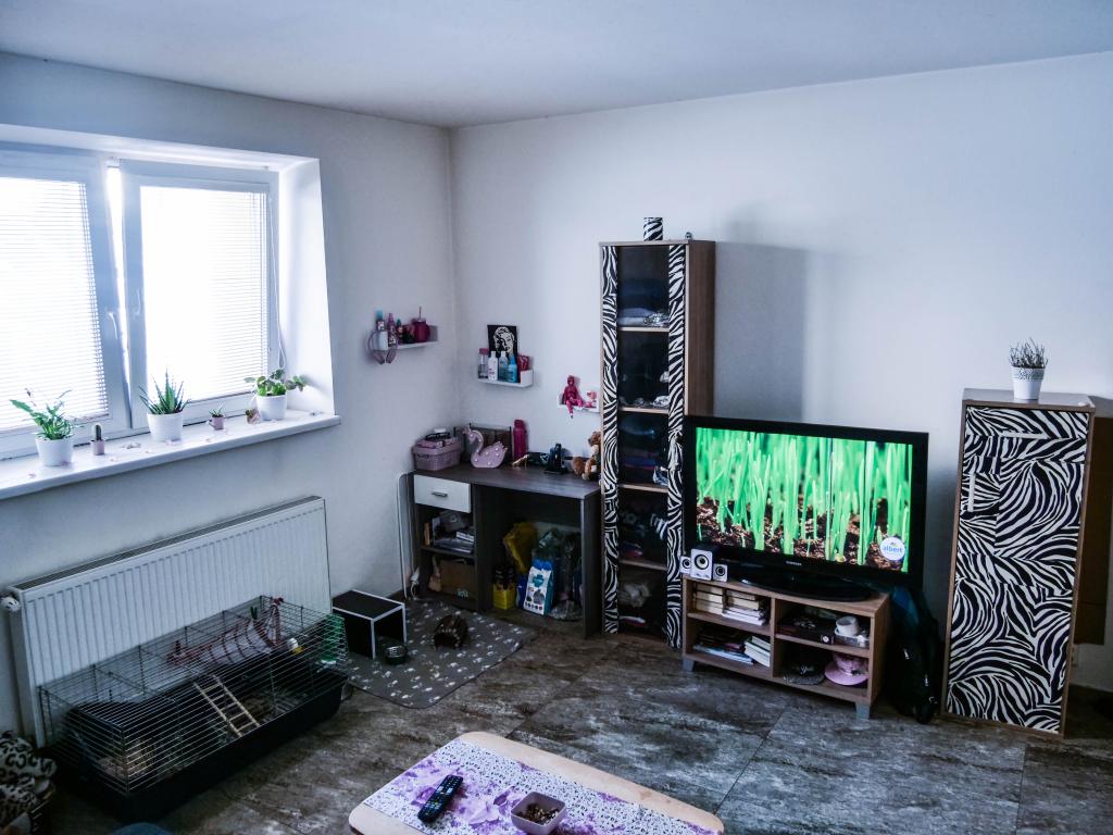 Pronájem bytu 1+1 30 m2