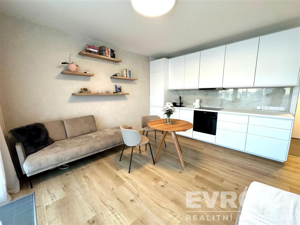 Pronájem bytu 1+kk 67 m2