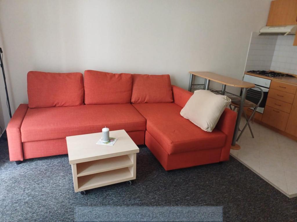Pronájem bytu 1+kk 25 m2