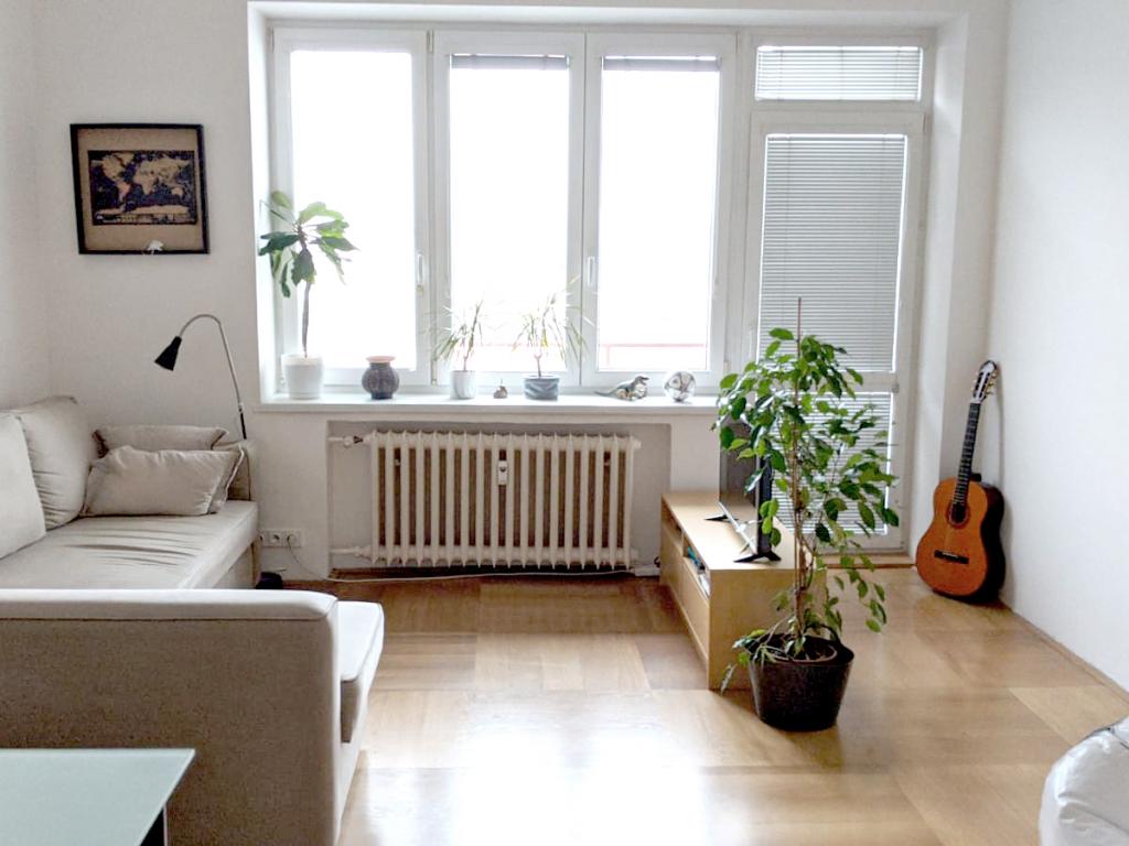 Pronajem bytu 2+1 60 m2