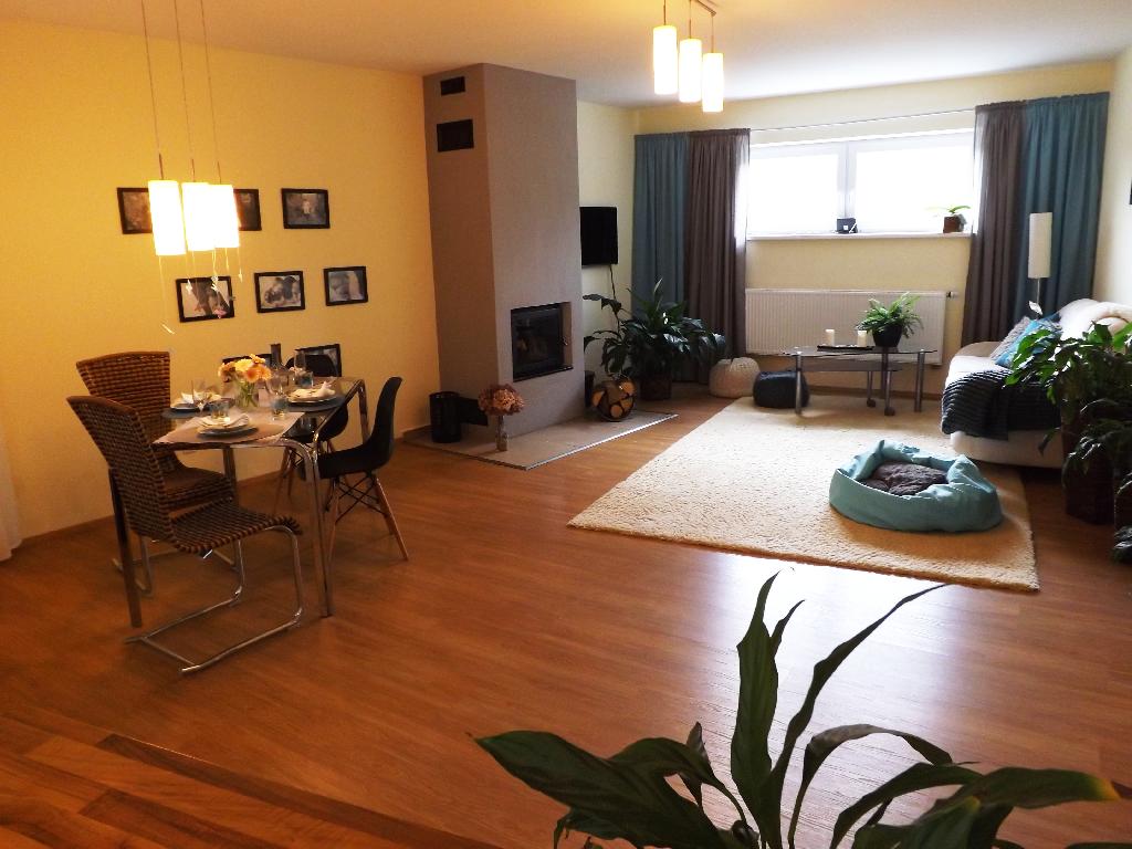 Pronajem bytu 5+kk 160 m2