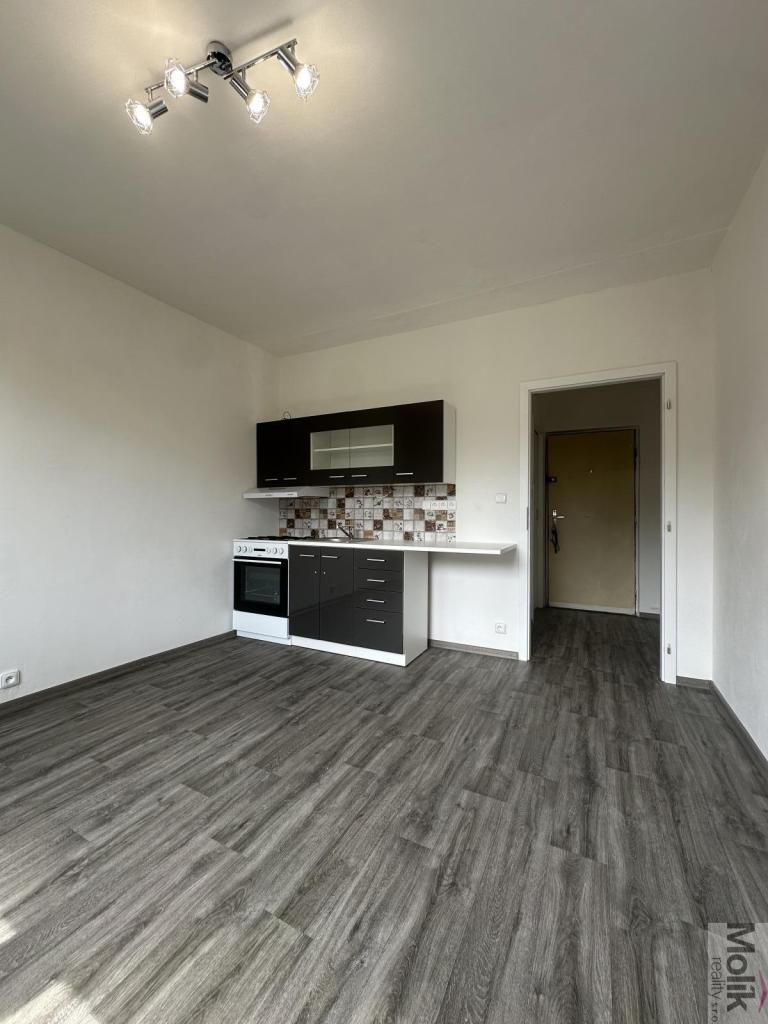 Pronájem bytu 1+1 36 m2