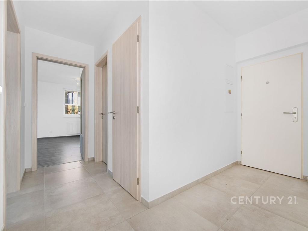 Pronájem bytu 2+kk 55 m2, Plzeň – náhled fotky 8
