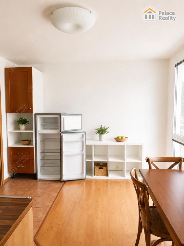 Pronájem bytu 1+kk 41 m2