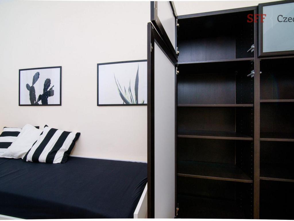 Pronájem bytu pokoj 12 m2