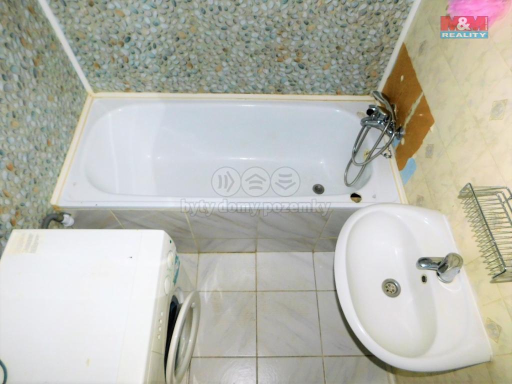 Pronajem bytu 2+1 60 m2