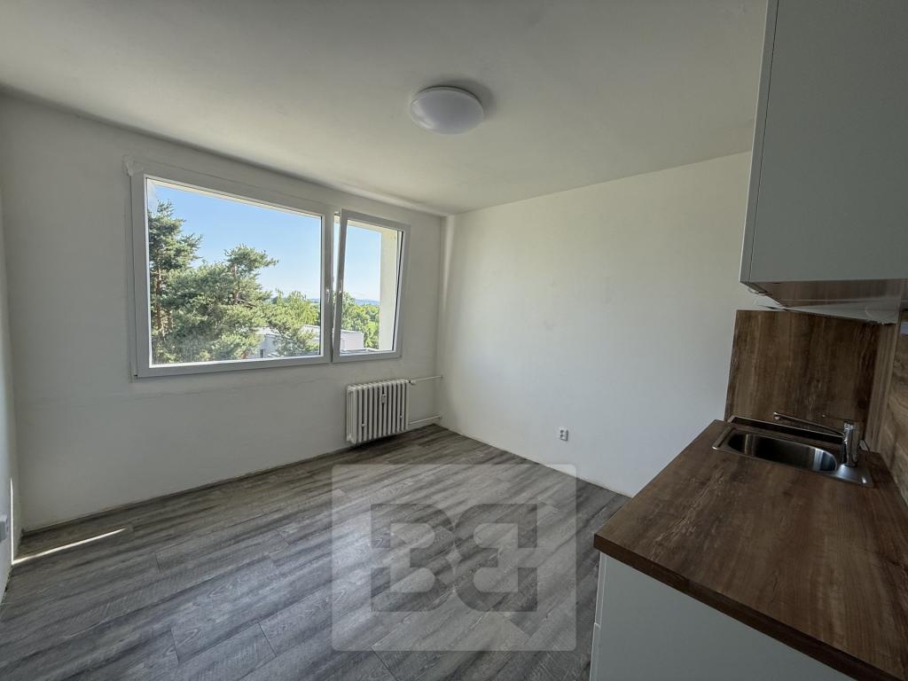Pronájem bytu 1+1 36 m2