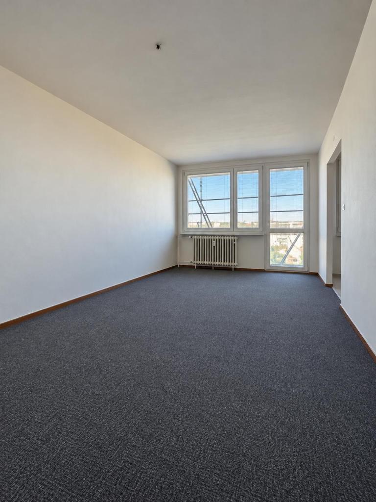 Pronájem bytu 1+1 43 m2
