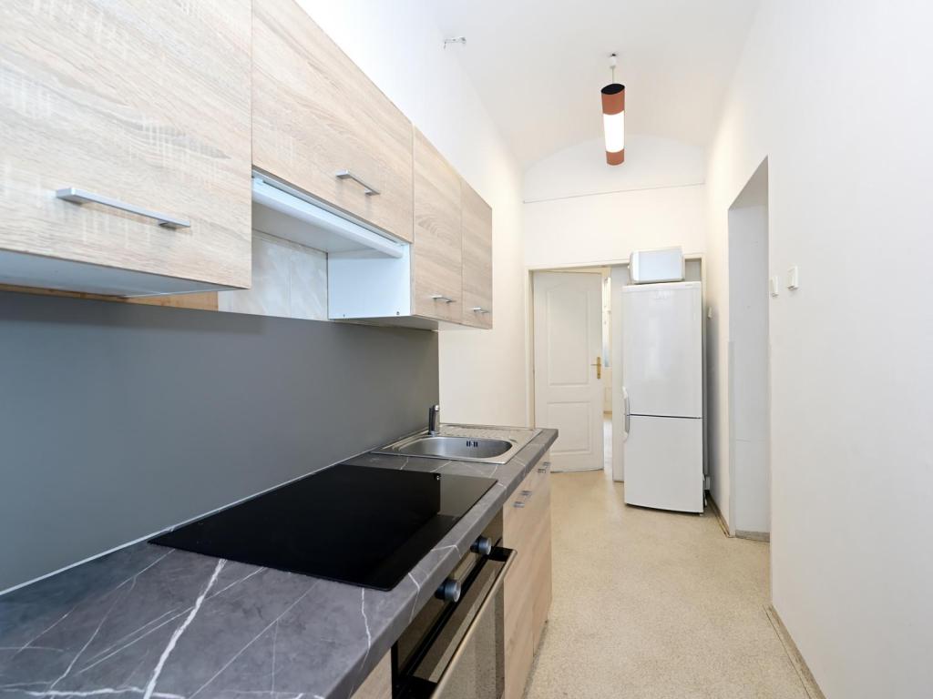 Pronájem bytu 2+kk 50 m2, Praha – náhled fotky 4