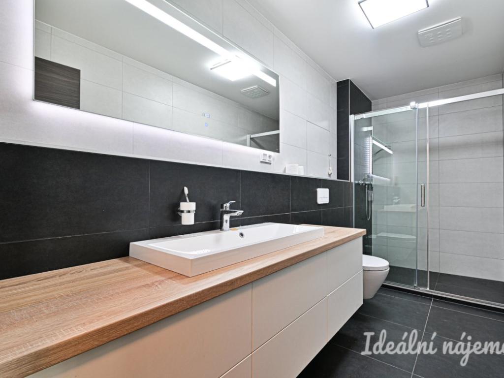 Pronájem bytu 2+kk 60 m2, Brno – náhled fotky 15