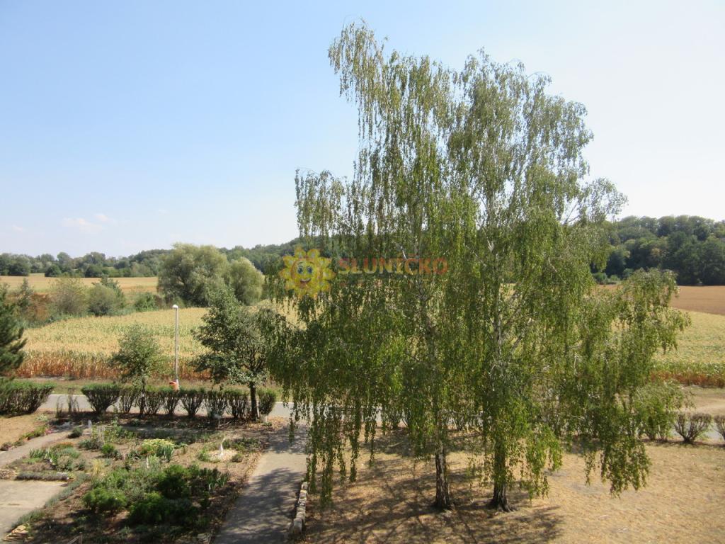 Pronájem bytu pokoj 20 m2