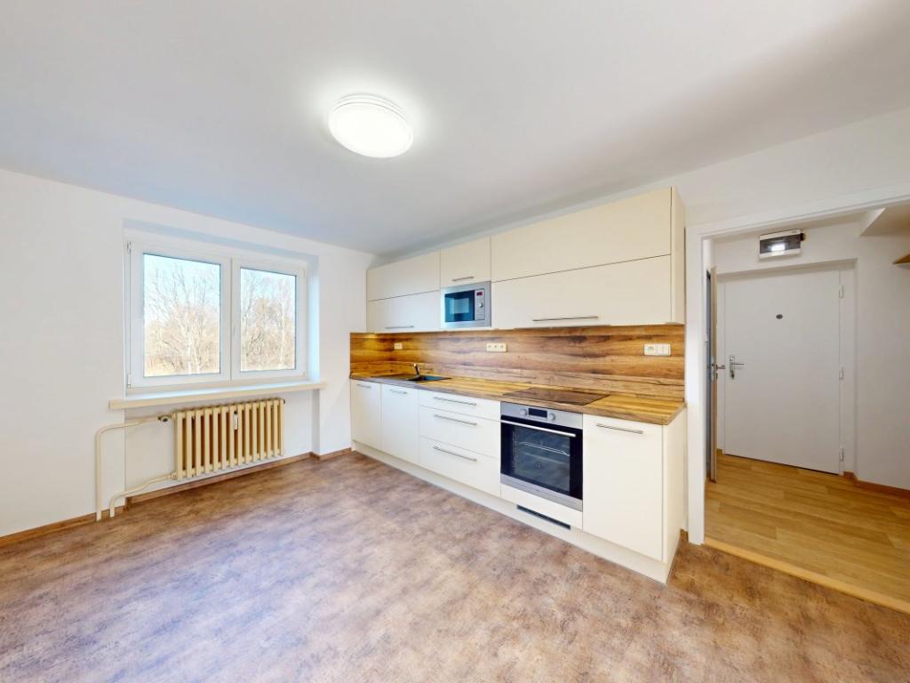 Pronájem bytu 2+1 50 m2