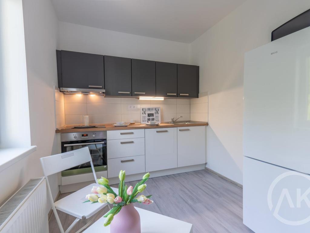 Pronájem bytu 2+1 51 m2, Ostrava – náhled fotky 6