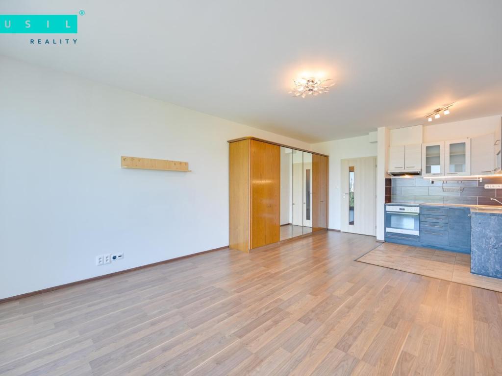 Pronájem bytu 1+kk 36 m2
