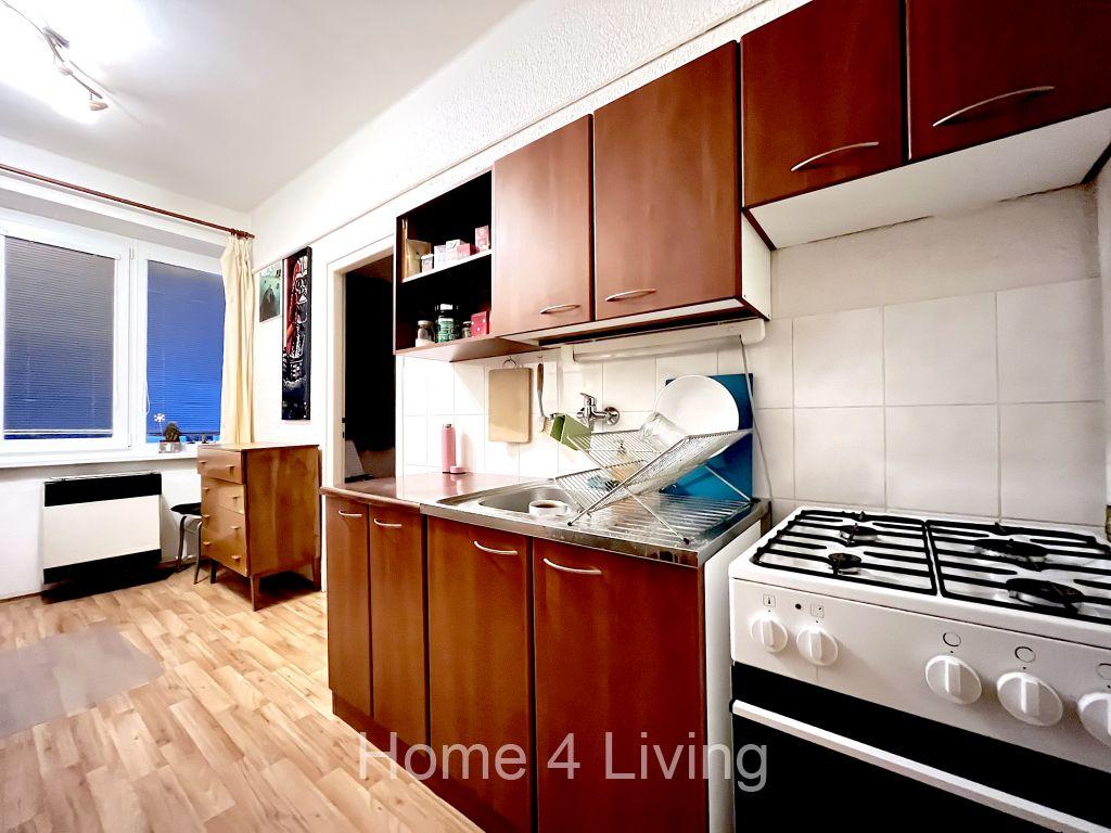 Pronájem bytu 1+1 45 m2