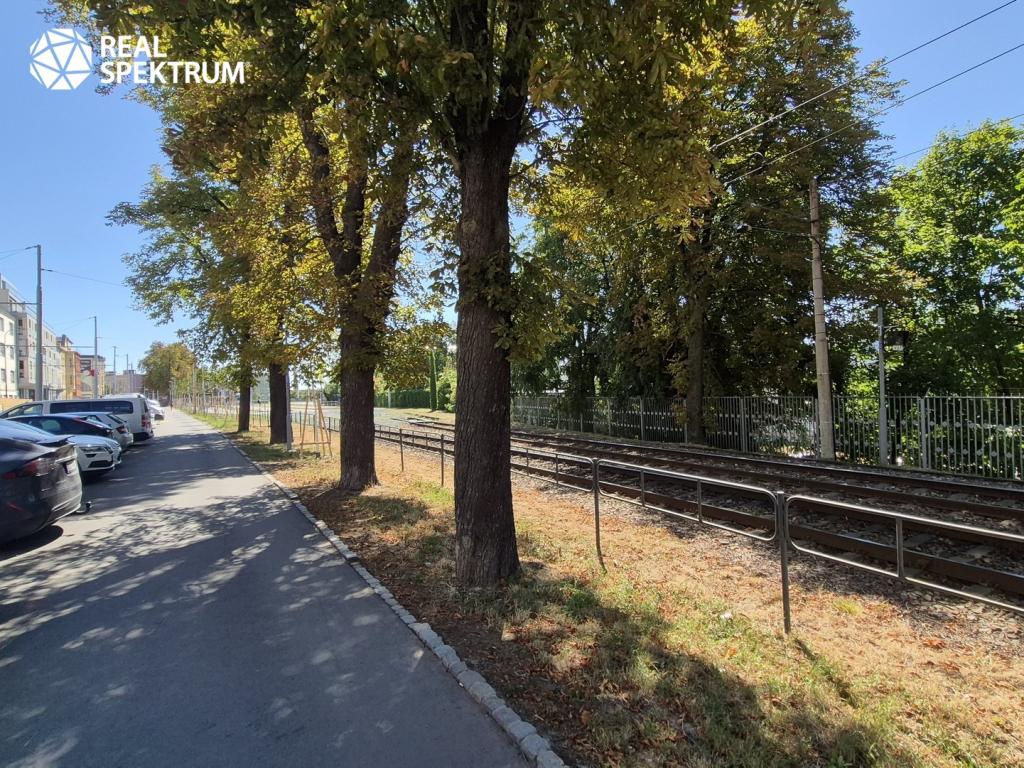 Pronájem bytu 3+1 100 m2, Brno – náhled fotky 24