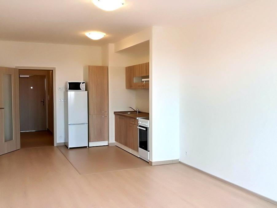 Pronájem bytu 1+kk 38 m2