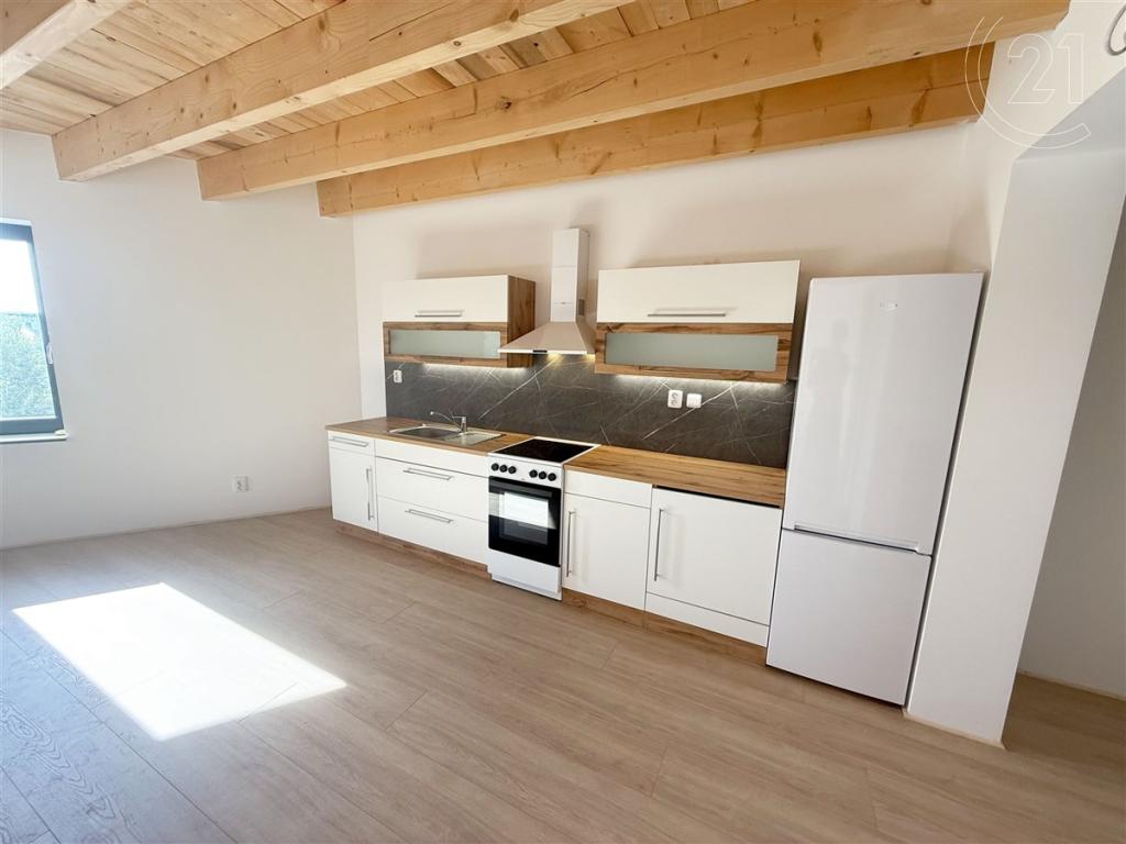 Pronájem bytu 1+kk 53 m2