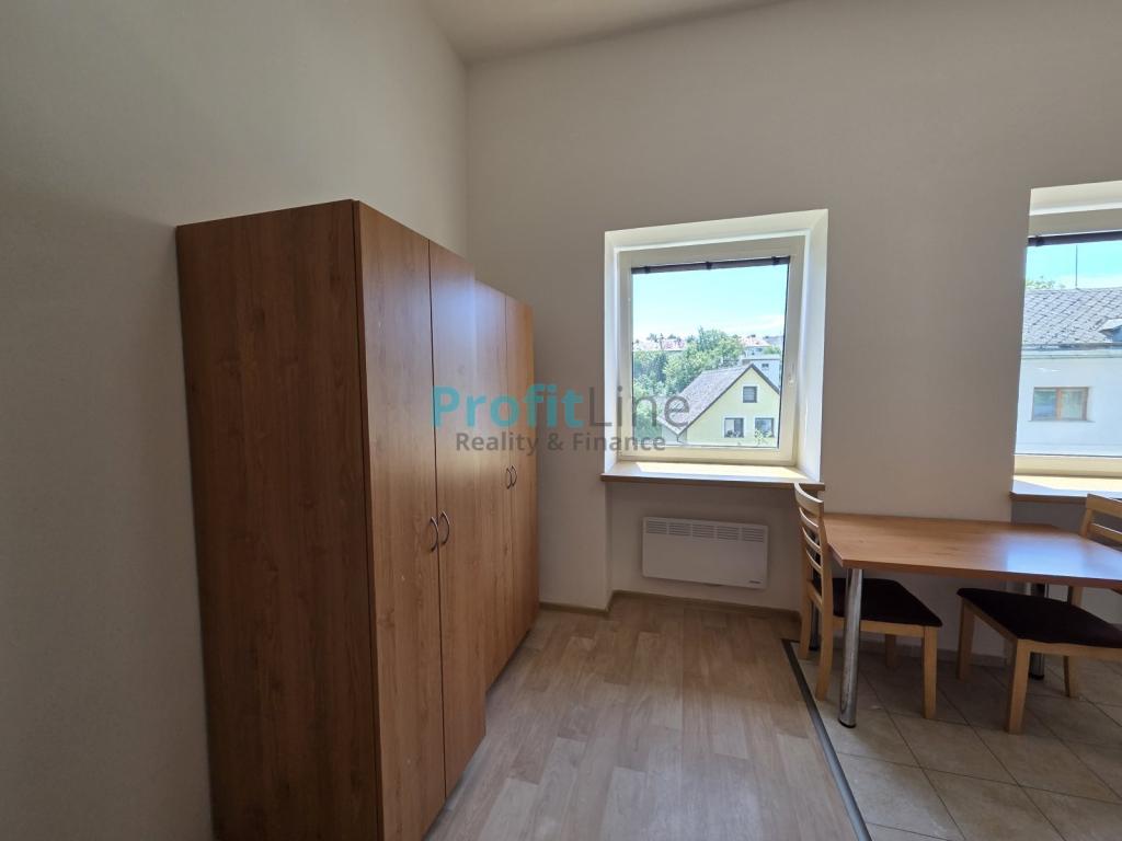 Pronájem bytu 1+kk 46 m2