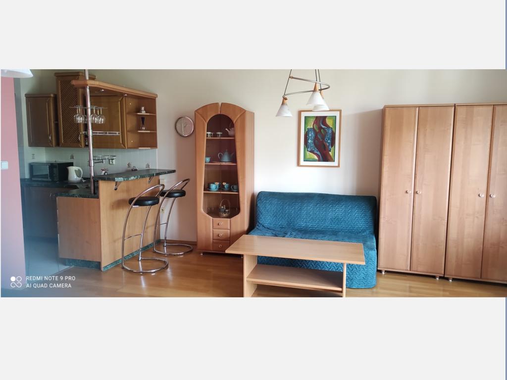 Pronajem bytu 1+kk 44 m2
