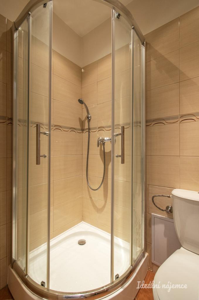 Pronájem bytu 1+kk 10 m2