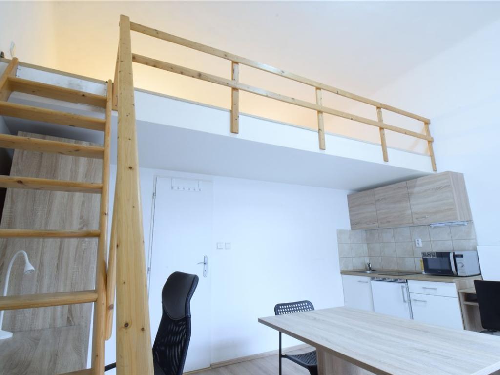 Pronájem bytu 1+kk 20 m² – pohled 5