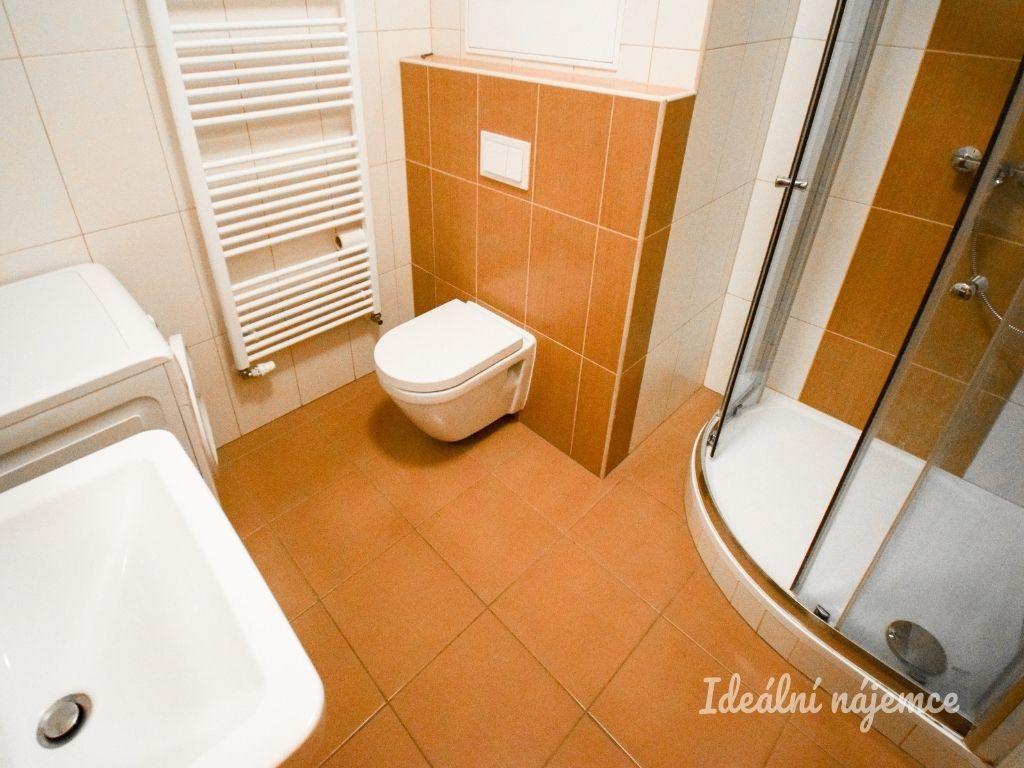 Pronájem bytu 1+kk 30 m2