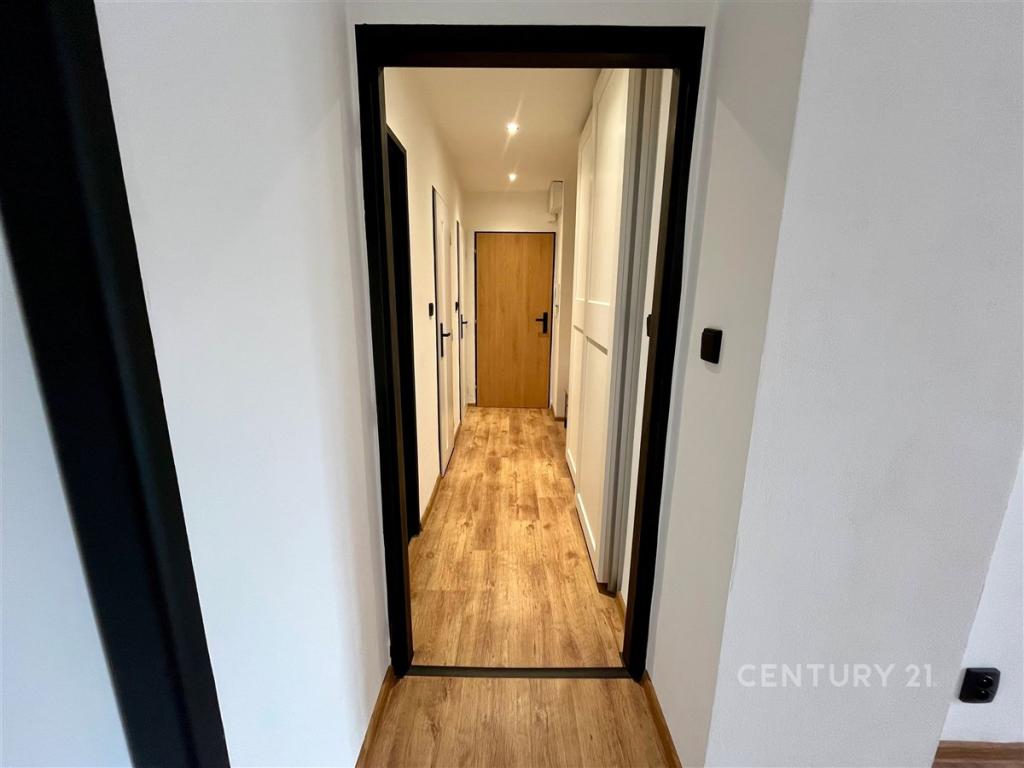 Pronájem bytu 2+1 50 m2