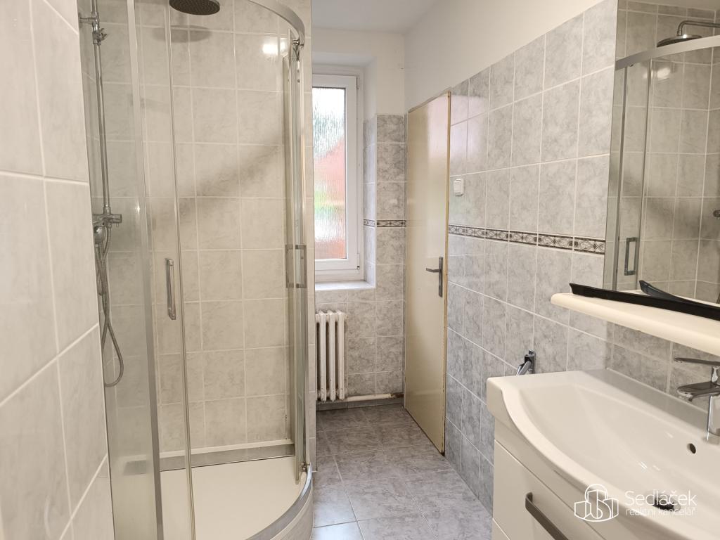 Pronájem bytu 1+1 50 m2