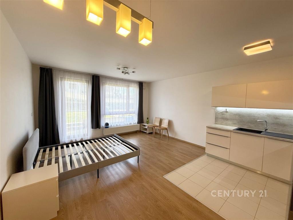 Pronájem bytu 1+kk 40 m2