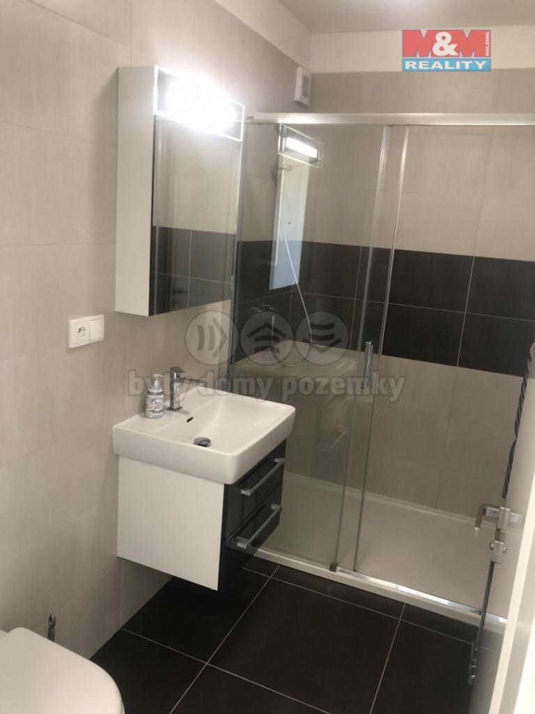 Pronajem bytu 2+kk 55 m2