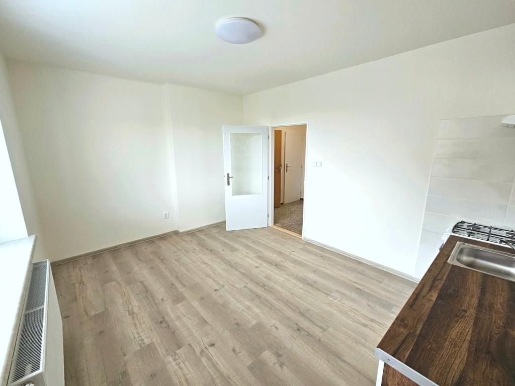 Pronájem bytu 1+1 45 m2