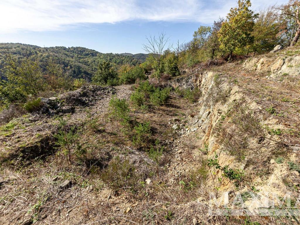 Prodej pozemku 7462 m2, Solenice – náhled fotky 9