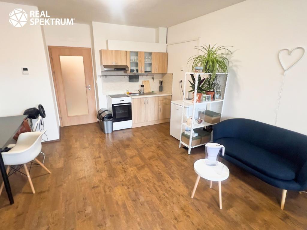 Pronájem bytu 1+kk 35 m2