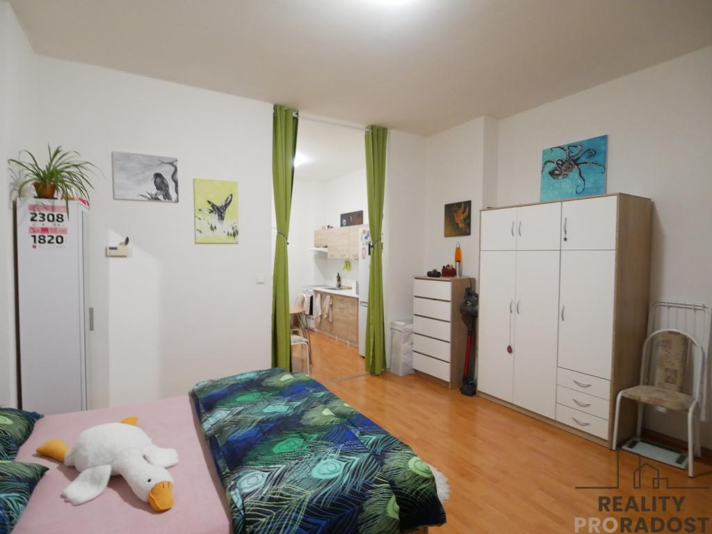 Pronájem bytu 1+kk 42 m2