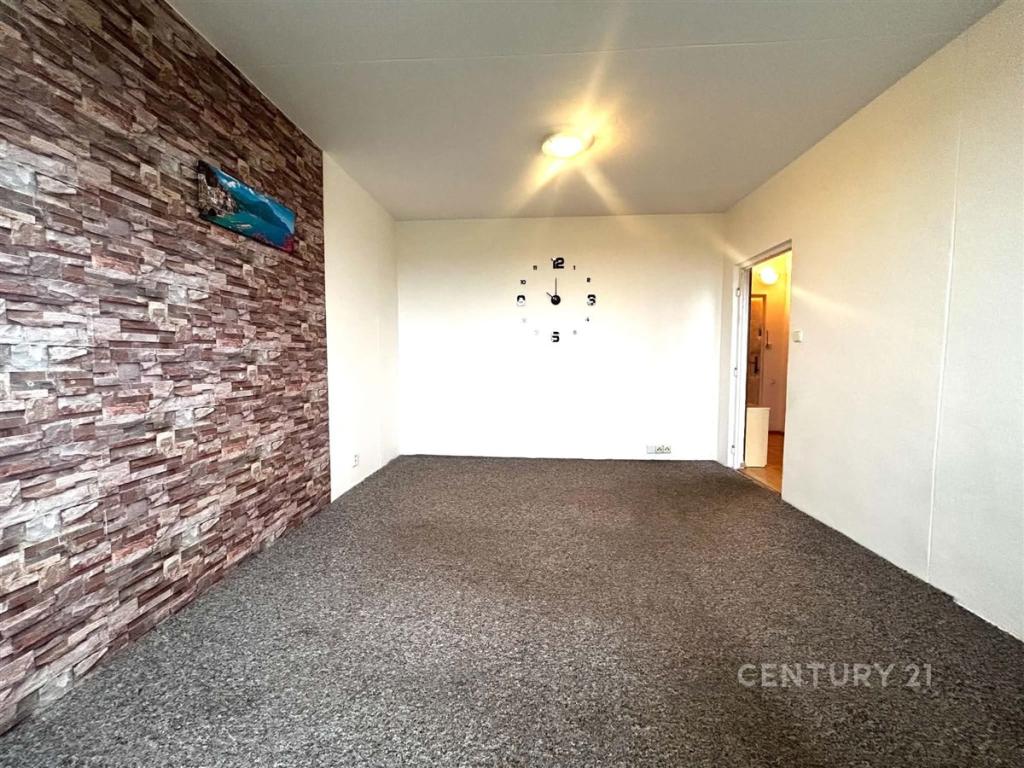 Pronájem bytu 1+1 40 m2