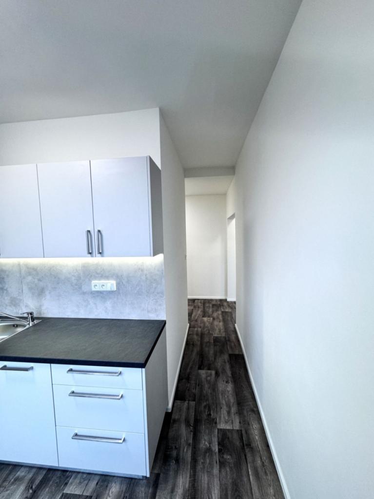 Pronájem bytu 2+1 55 m2