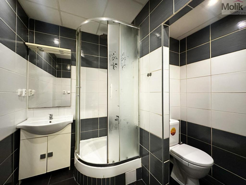 Pronájem bytu 1+1 34 m2