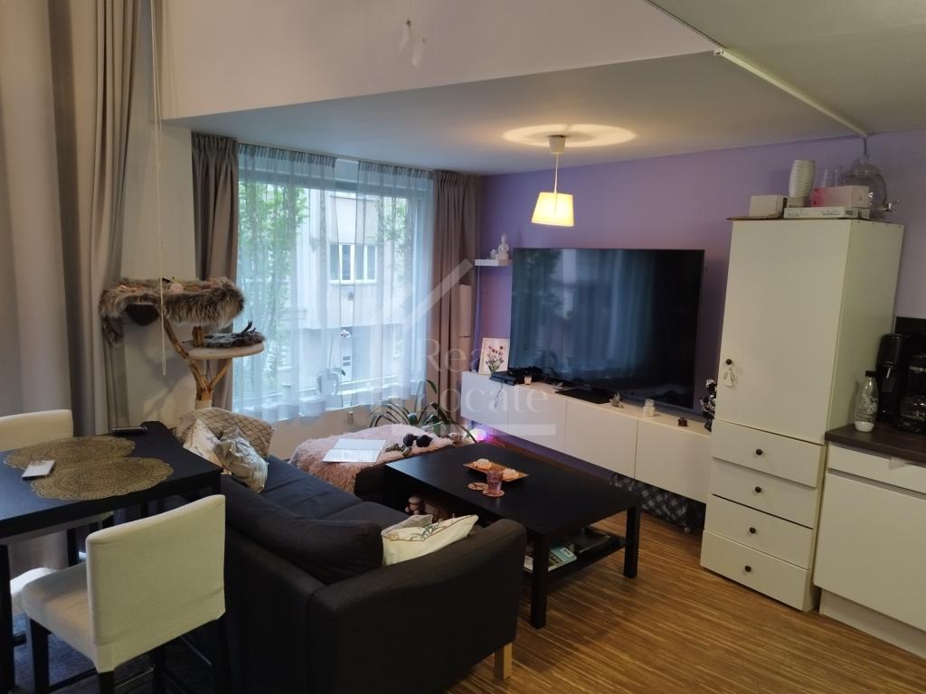 Pronájem bytu 2+kk 46 m2