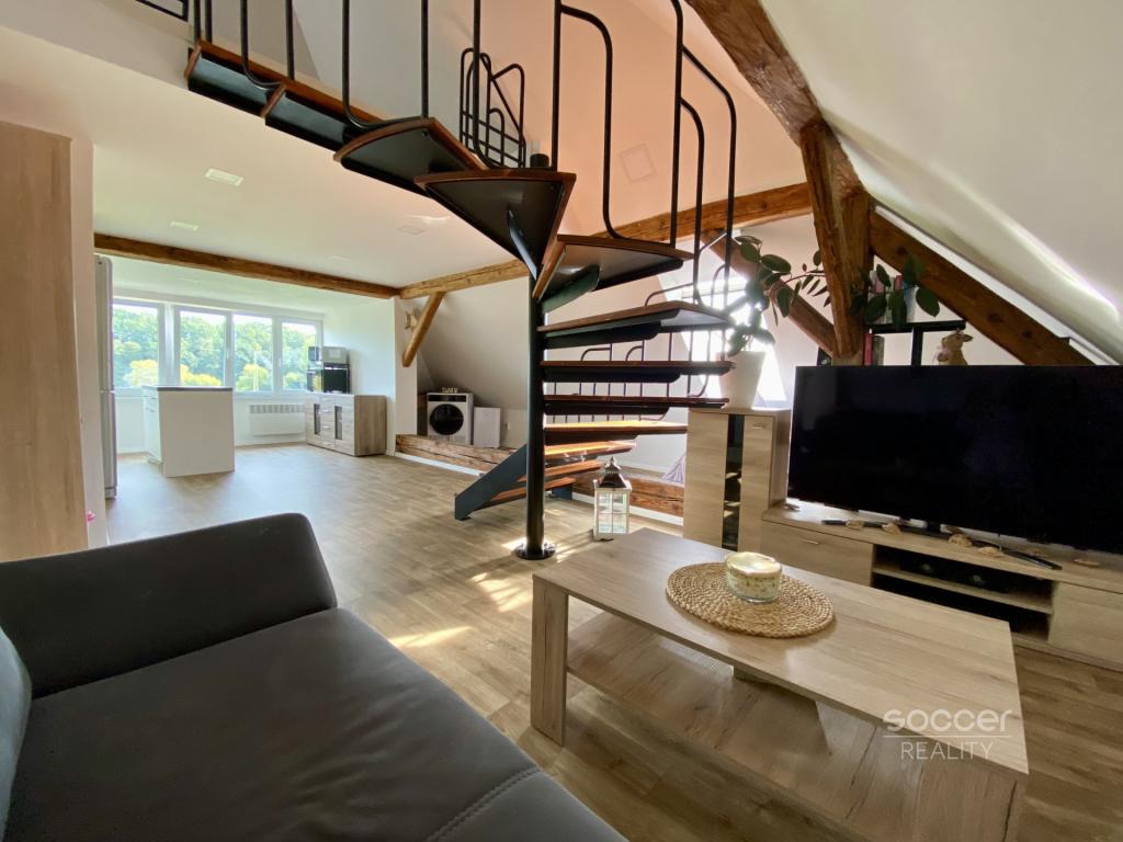 Pronájem bytu 1+kk 45 m2