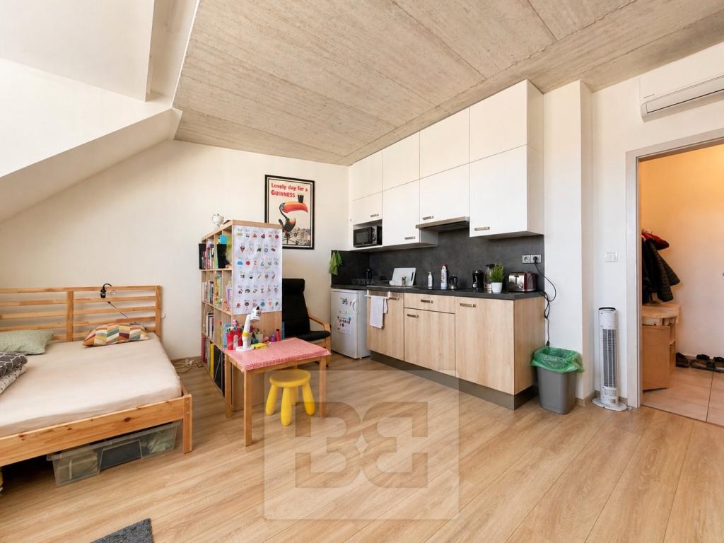 Pronájem bytu 1+kk 38 m2