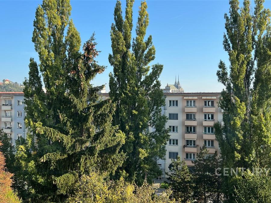 Ostatní