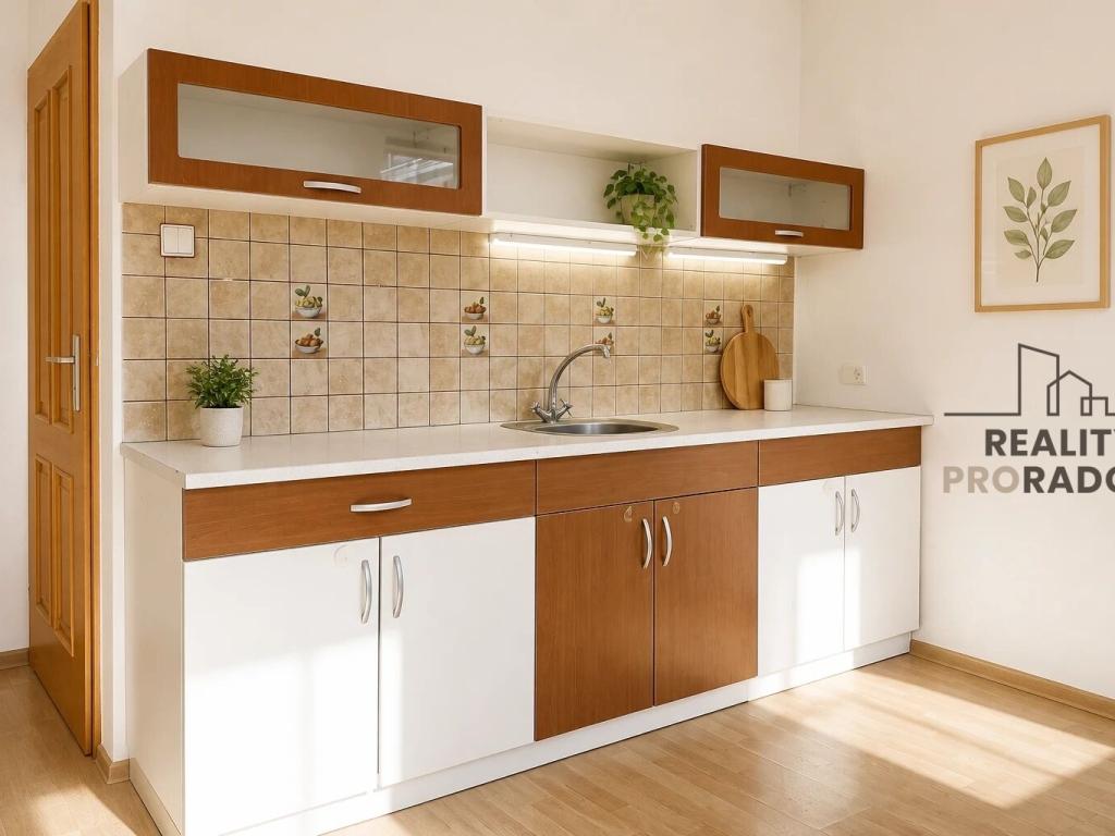 Pronájem domu 232 m2