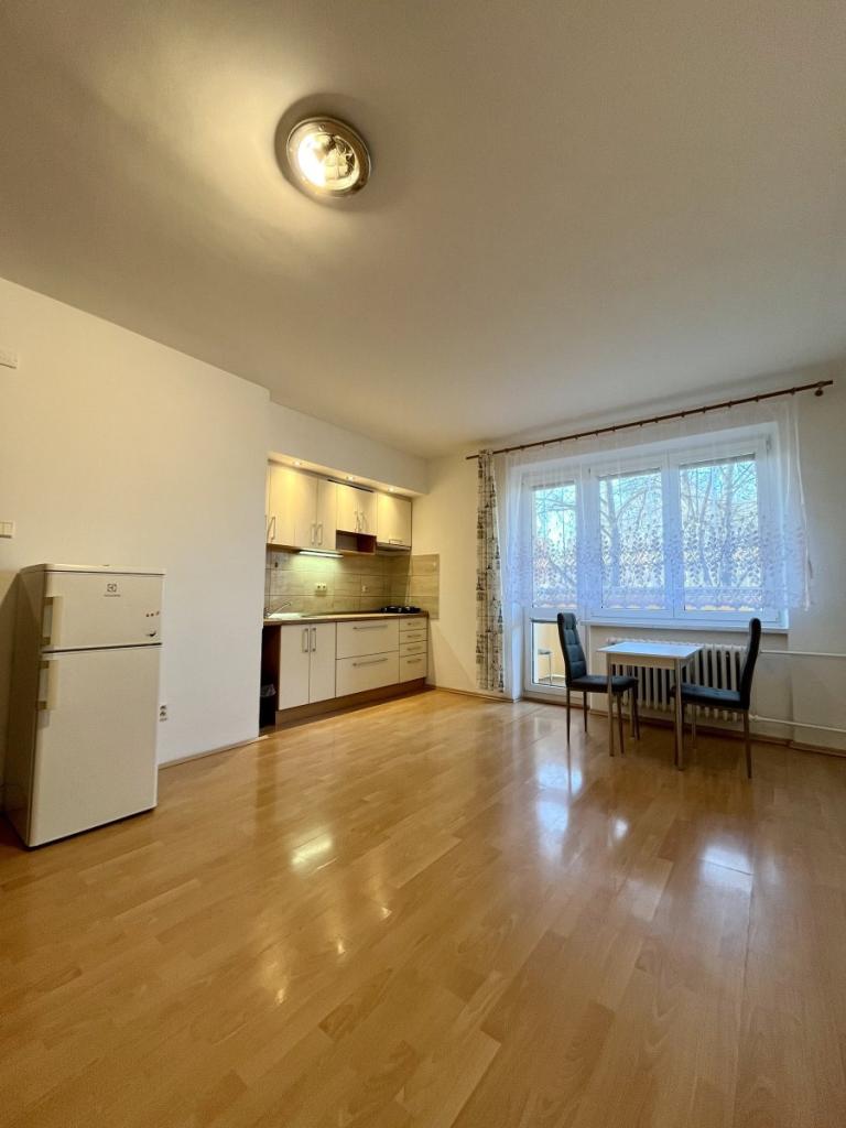 Pronájem bytu 1+kk 23 m2