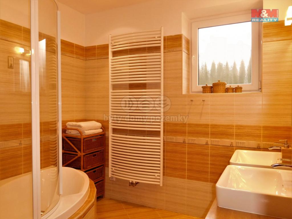 Pronajem bytu dům 600 m2