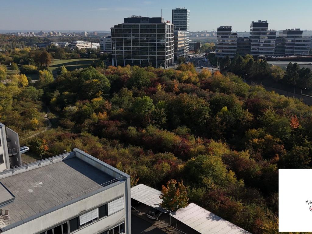 Pronájem bytu 2+kk 73 m2, Praha – náhled fotky 10