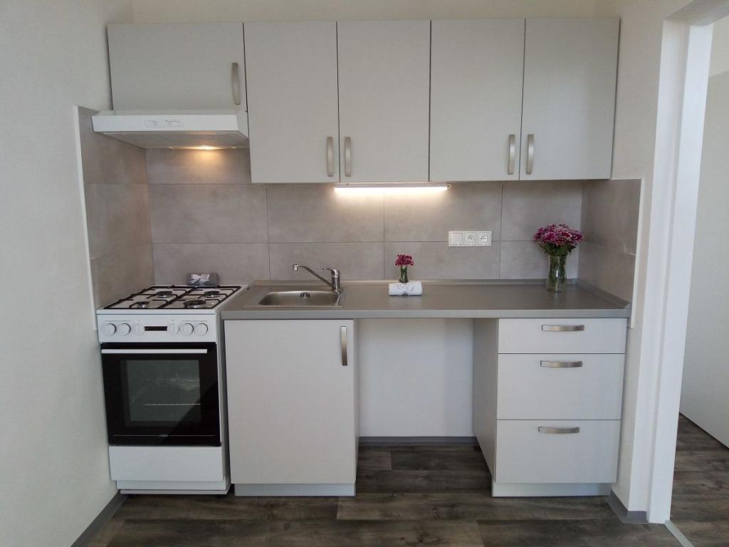 Pronájem bytu 2+1 44 m2